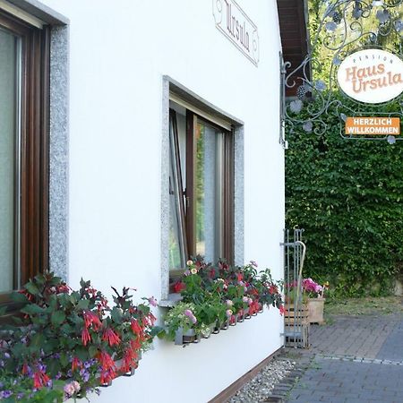 Pension Haus Ursula 코블렌츠 외부 사진