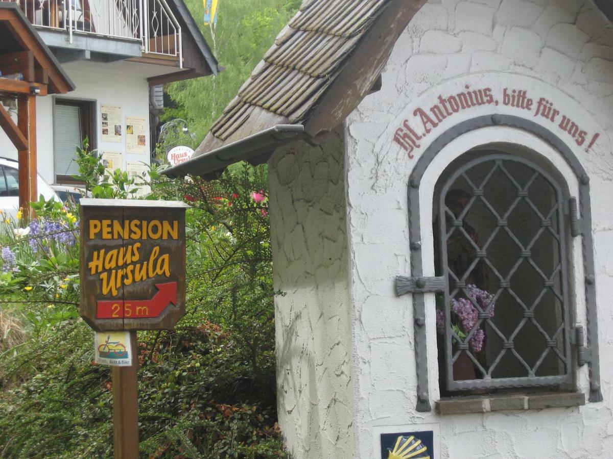 Pension Haus Ursula 코블렌츠 외부 사진