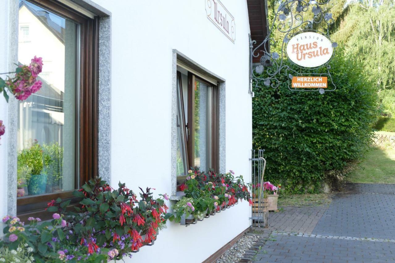 Pension Haus Ursula 코블렌츠 외부 사진